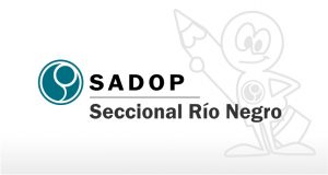 Lee más sobre el artículo Todo sobre SADOP
